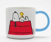 Snoopy home 1